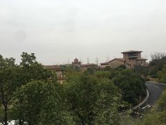 -上海崇明金茂凯悦酒店