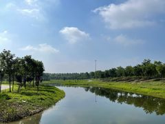 -东郊湿地公园