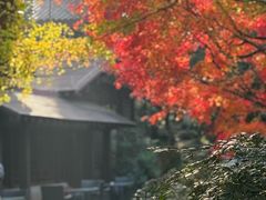-中国茶叶博物馆(双峰馆区)