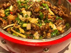 姜丝藤椒鸡-饭饱香土碗菜(新科店)
