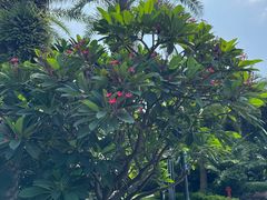 -天悦阁海景酒廊