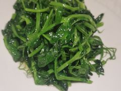 清炒豆尖-烟雨青城·川菜(北京坊店)
