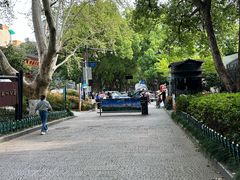 -杭州半山国家森林公园