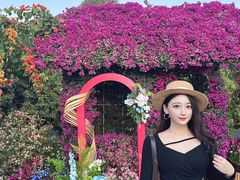 -东莞植物园