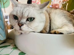 -小时光咖啡馆(北锣鼓巷店)