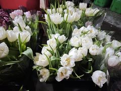 -循礼门鲜花花市(武汉循礼门店)