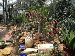 -国家植物园南园