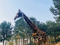 -大连森林动物园