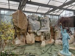 -南宫五洲植物乐园