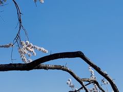 -颐和园