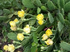 -南京金牛湖风景区