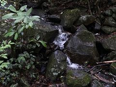 -梧桐山风景名胜区