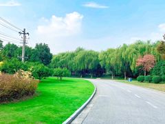 -贡湖湾湿地公园