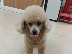 -宠福鑫动物医院·动物疾病诊疗中心(天通苑店)
