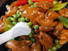 -陈麻婆豆腐(旗舰店)