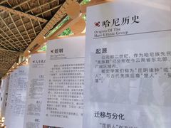 -西双版纳原始森林公园