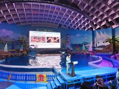 -海合安武汉极地海洋公园