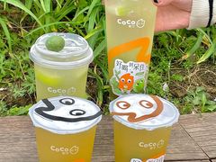 -CoCo都可(包河万达店)