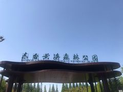 -黄海国家森林公园