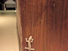 -西双版纳融创皇冠假日度假酒店