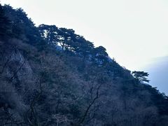-泰山风景名胜区