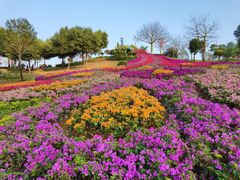 -东莞植物园