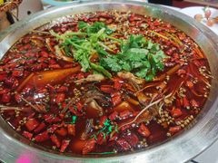 -蛙一刀·麻椒鱼火锅(金仙桥店)