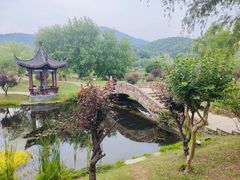 -石塘人家