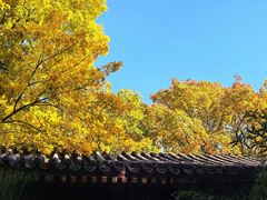 -钓鱼台国宾馆