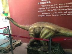 -中国湿地博物馆