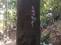 -黄埔油麻山森林公园