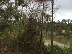 -金山植物公园