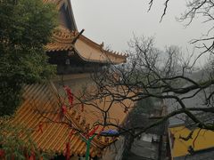 -赭山公园