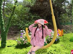 -王莽岭风景区