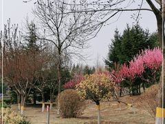 -东升八家郊野公园