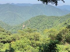 -北仑森林植物园