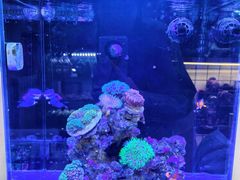 -Rabbit Cafe私房西餐甜点咖啡(栖霞路店)