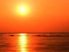 -哈素海
