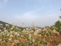 -龙洞风景区-藏龙涧
