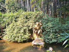 -杭州黄龙洞