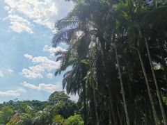 -中国科学院西双版纳热带植物园