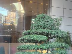 -广州粤海喜来登酒店