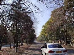 -胜华驾校·小猫学车(银都店)