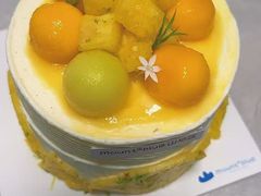 -山与蓝·轻糖鲜果蛋糕(勒泰店)