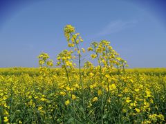 -苏州吴中太湖旅游区