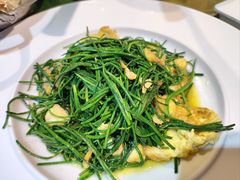 -海拉尔蒙古包(房山长阳店)