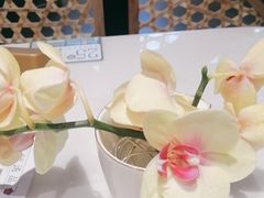 -上上席川菜(凯德乐峰广场店)