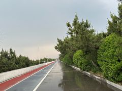-日照海滨国家森林公园