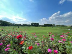 -银涛高尔夫练习场(徐泾店)