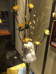 -美满国际月子中心(合生汇店)